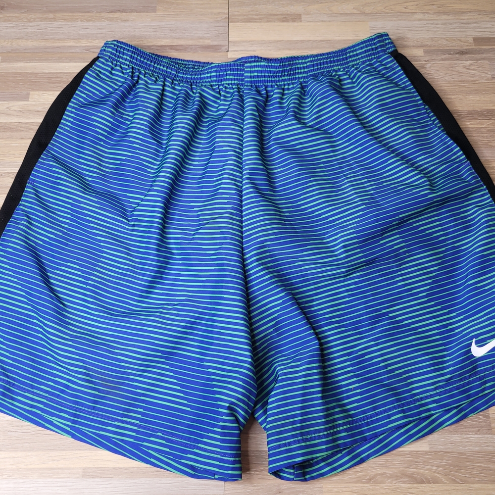 Nike‎ Men's Size Large Striped Blue Athletic Shorts Lined Dri-Fit